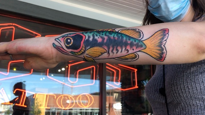 Drake McElroy tattoo work 7